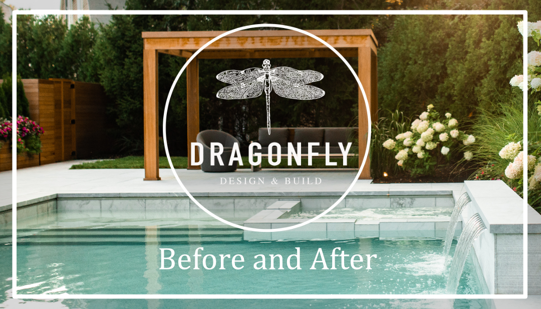 Dragonfly Design And Build