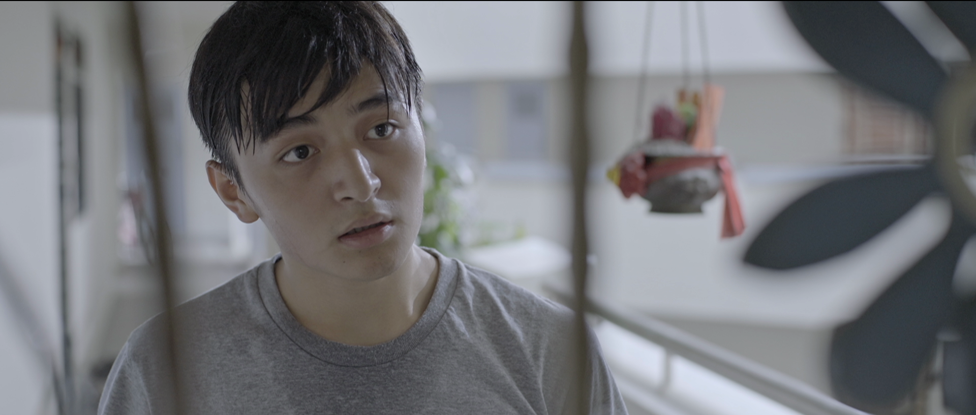  A young Chinese immigrant arrives at his company's apartment only to find a woman already residing there. Scammed and stranded abroad without shelter or resources, the woman opens up her heart and home to the helpless man.   Overall Best Film -  ciN