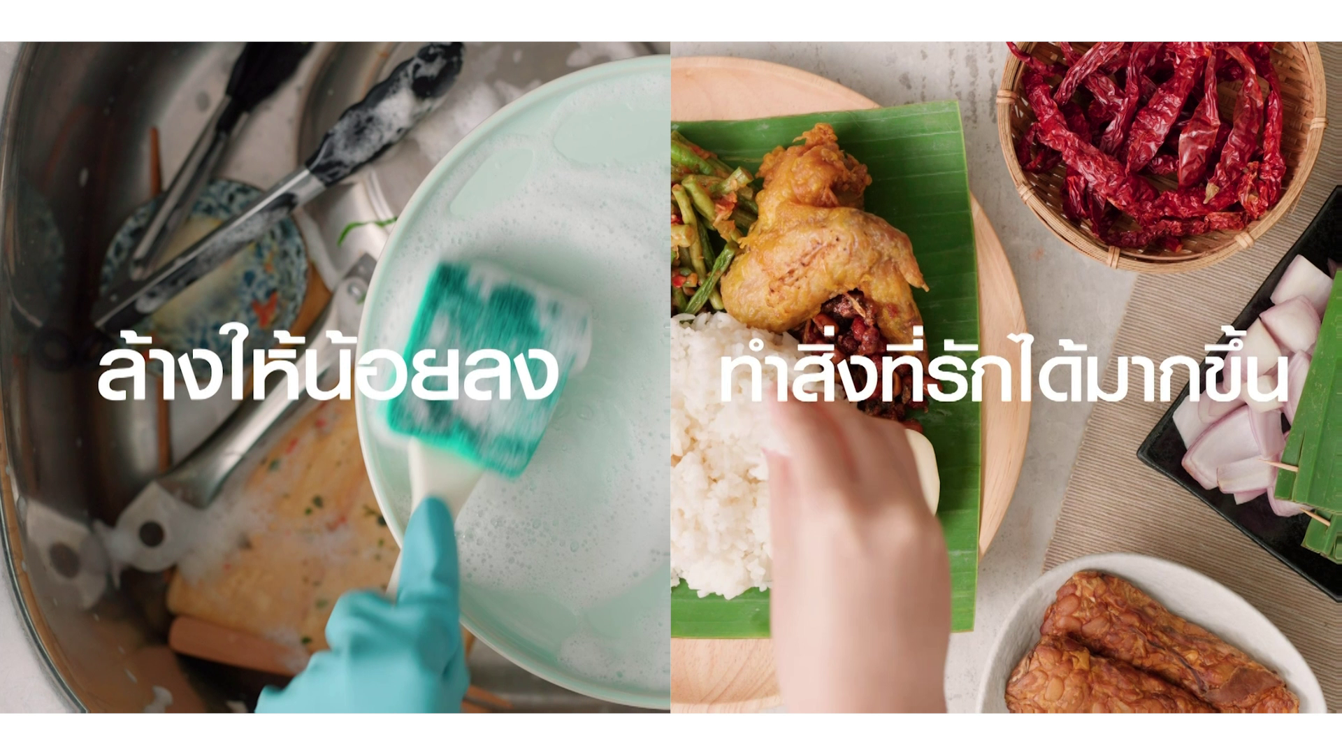 Bosch Regional Dishwasher 07.png