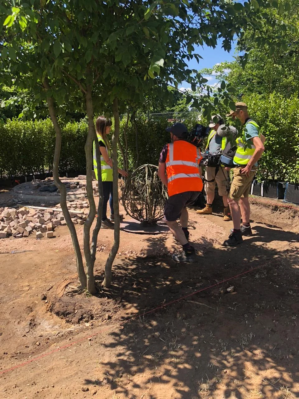 'Tumbleweed' in Alexandra Noble's 'Health and Wellbeing Garden' at RHS Hampton Court Flower Show