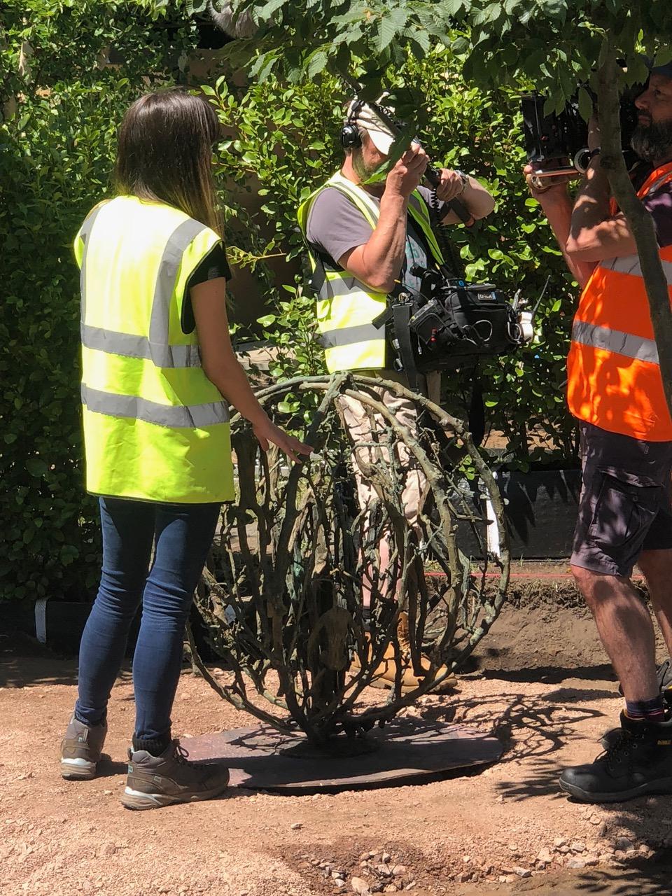 'Tumbleweed' in Alexandra Noble's 'Health and Wellbeing Garden' at RHS Hampton Court Flower Show
