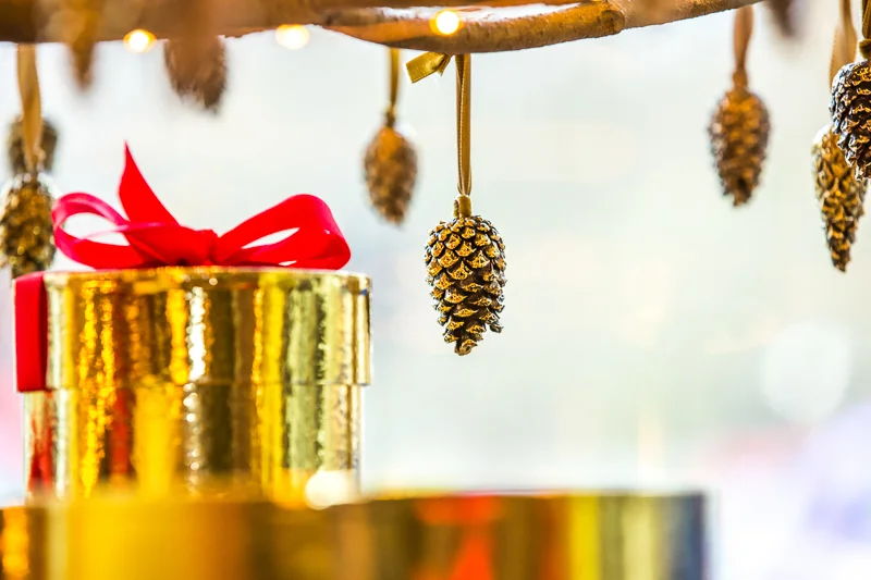 Jill's Christmas Tree, photo credit Cristina Schek (68).jpg