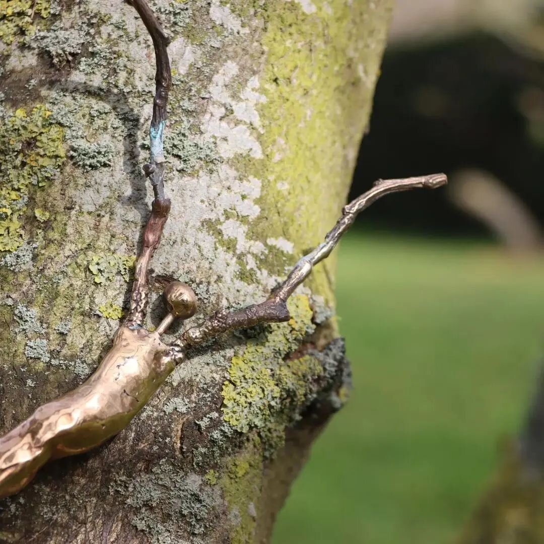 'Tree of Cherished Memories'

regram @nat_mem_arb

Remember a loved one or mark a special occasion by commissioning a beautiful, bronze sculpted leaf or figure dedication to feature on our brand-new 'Tree of Cherished Memories'.

The 'Tree of Cherish