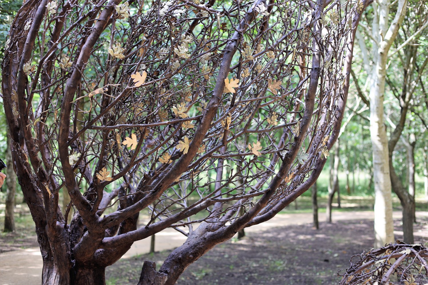 Tree Of Cherished Memories Jill Berelowitz tree-of-cherished-memories-jill-berelowitz