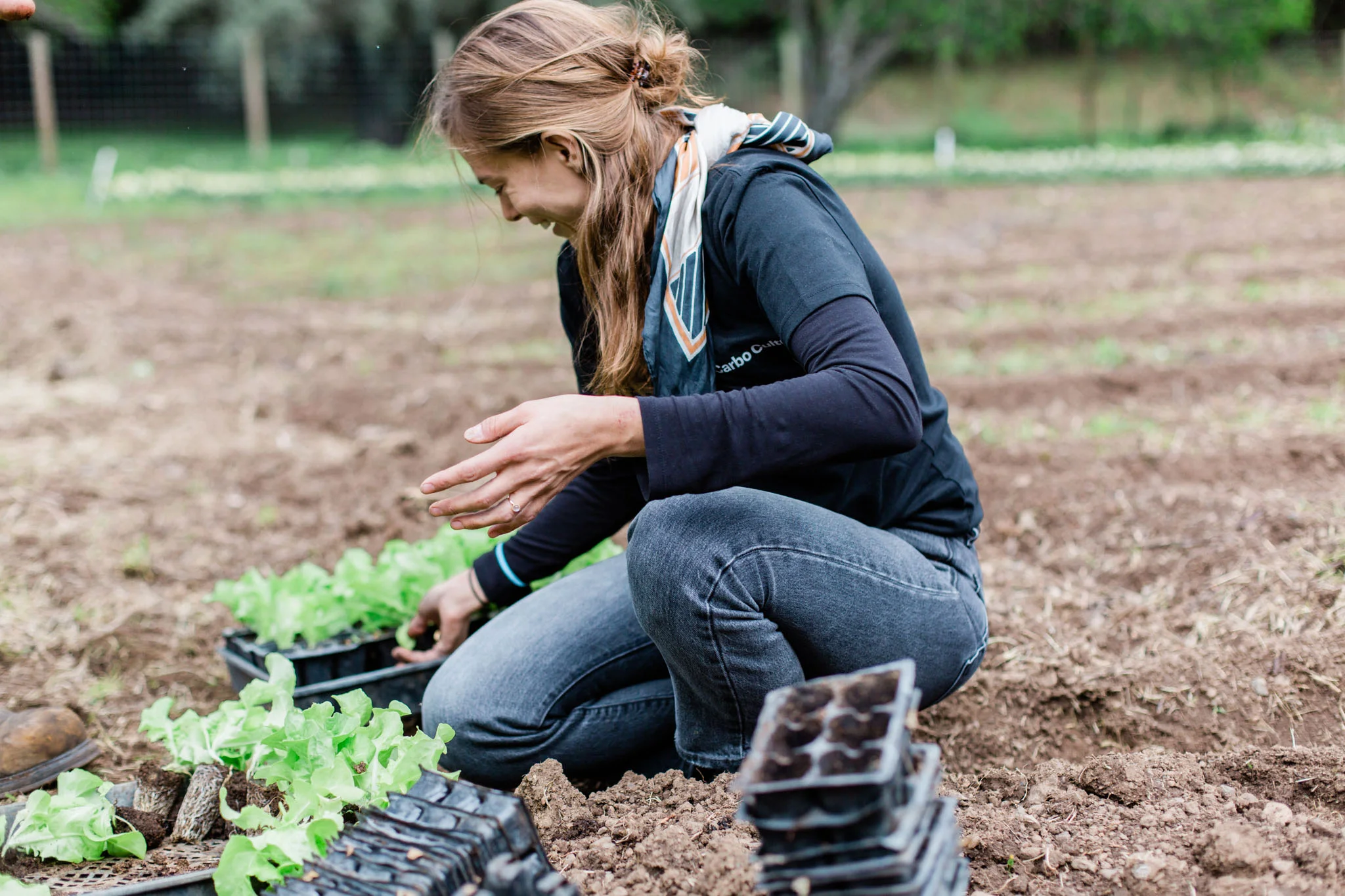 From compaction to water conservation and soil pH, biocarbons act as a base for other applications!