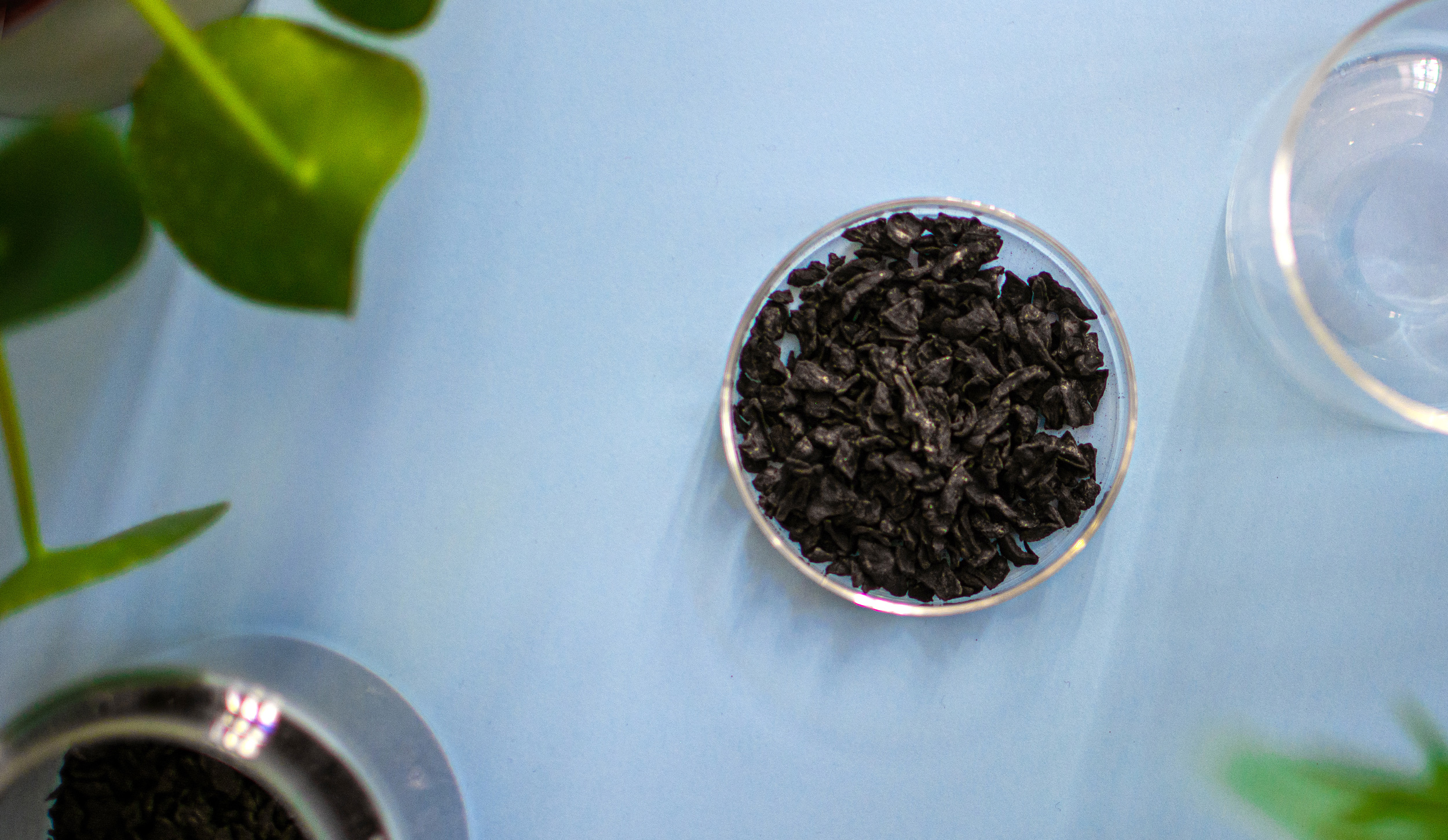 CarboCulture_Biochar2.jpg