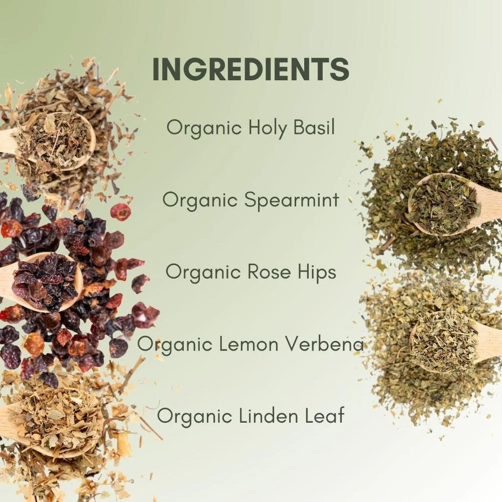 detoxweb1_1220x_crop_center.jpg