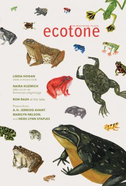 Ecotone-23-Cover-Online-250x368.jpg