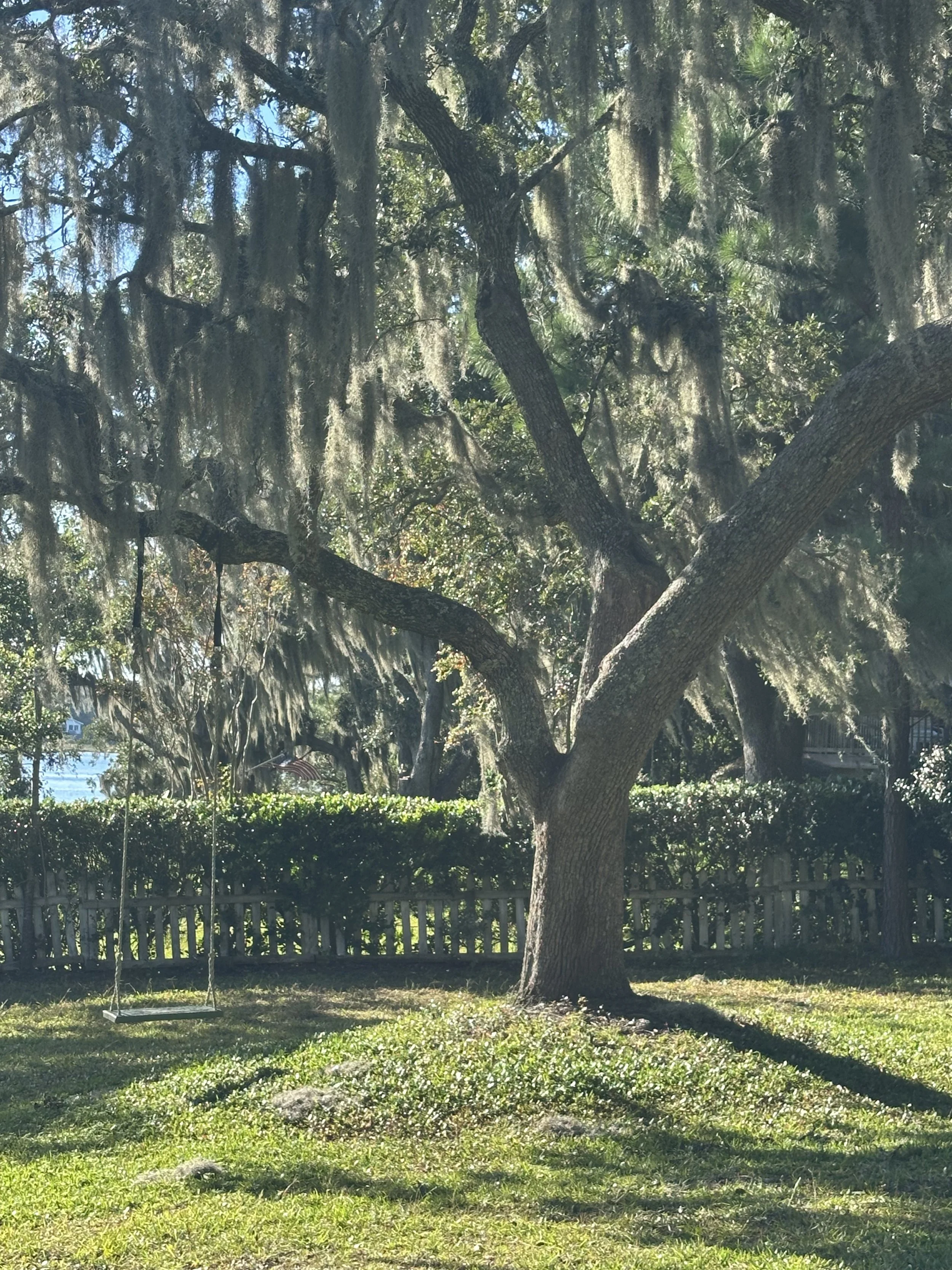 IMG_5194.jpeg