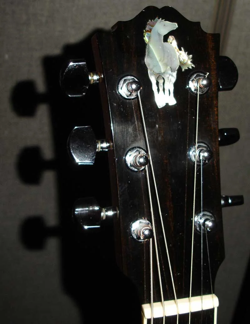 Do you Remember this Guitar?