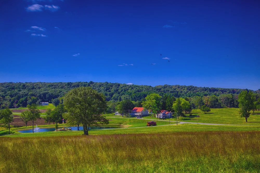 Farm+View.jpg