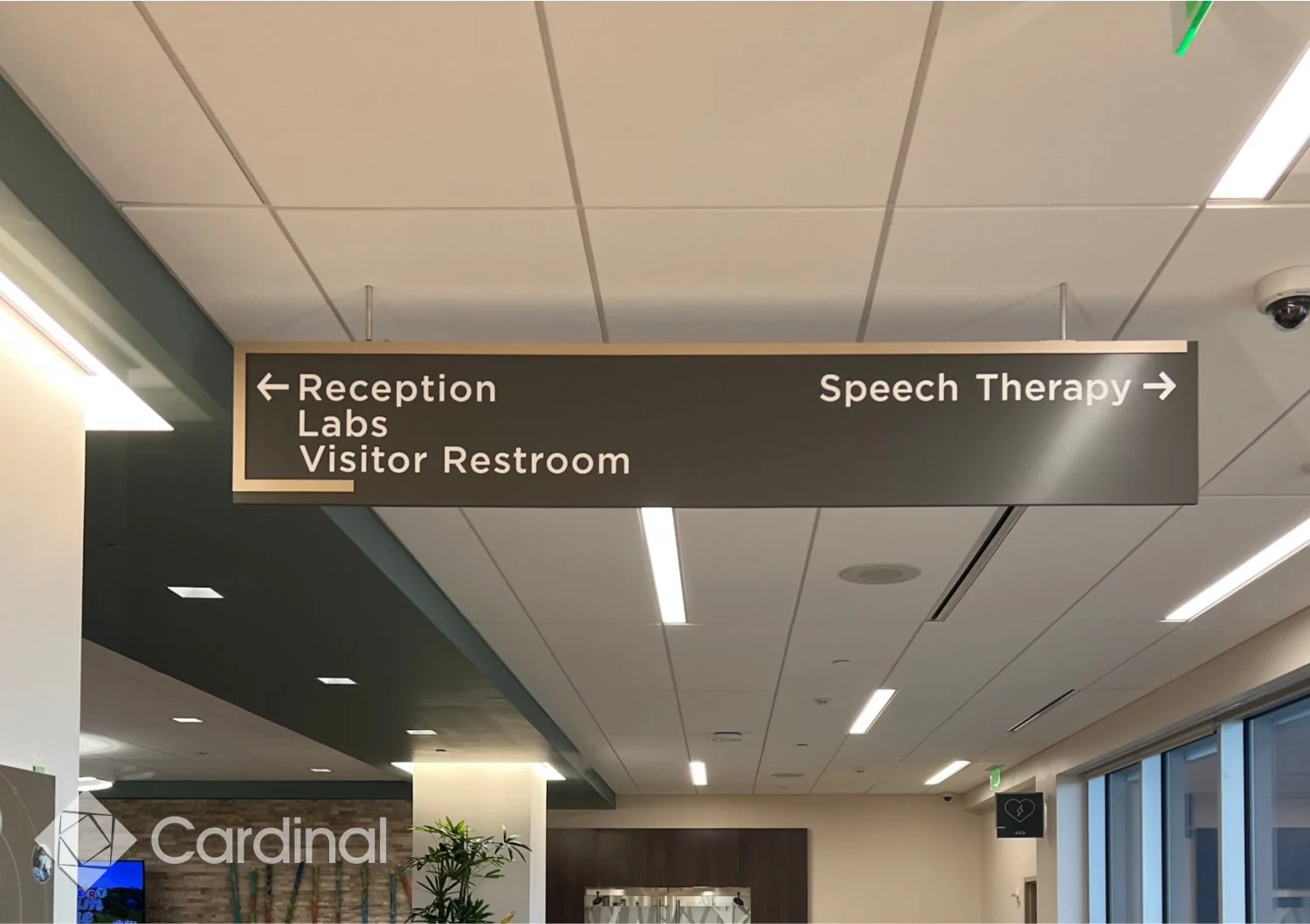 cardinal_manufacturing_overhead_sign_vinyl_dimensional_ceiling_mount.jpg