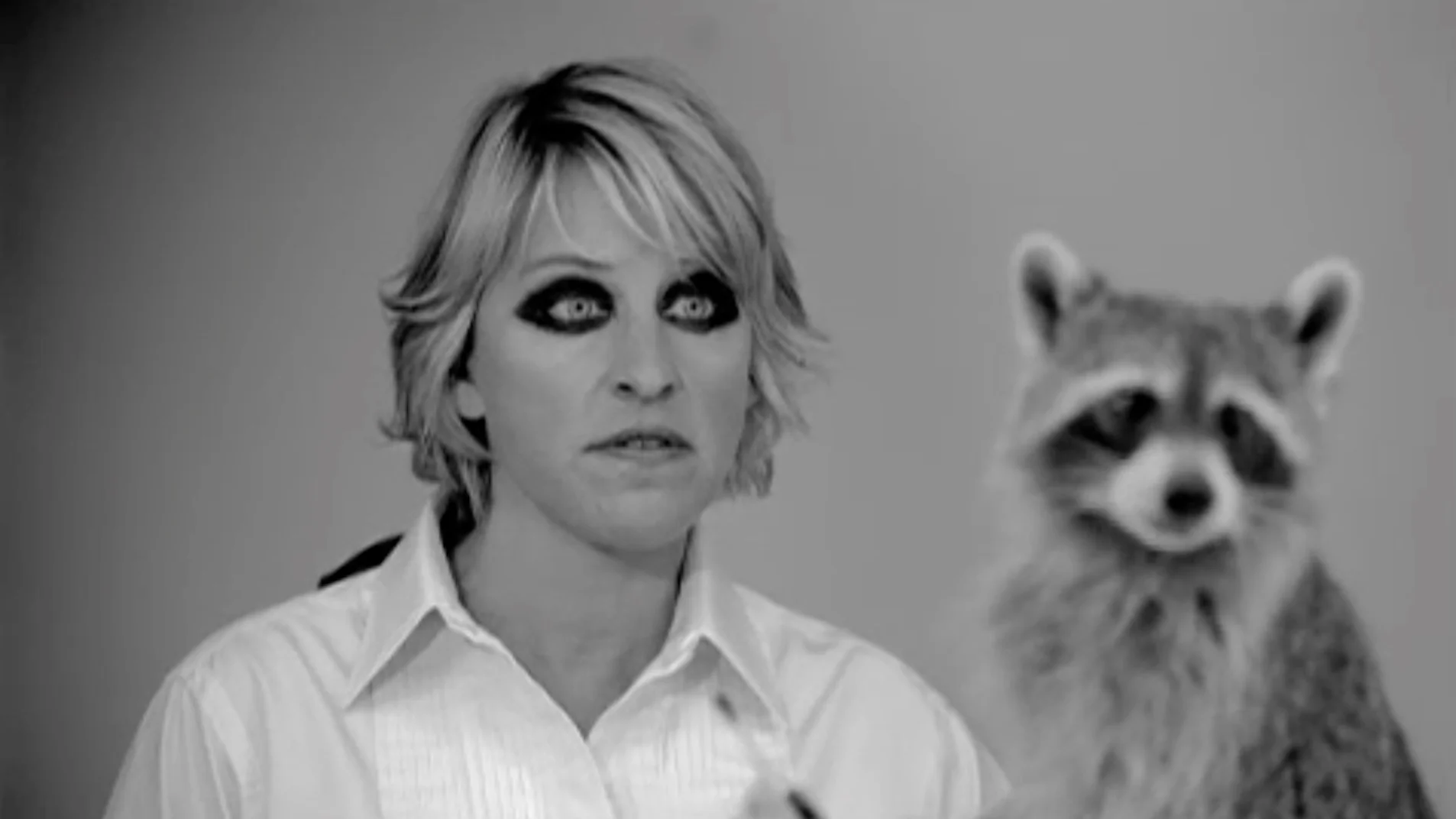 American Express, "Animals"