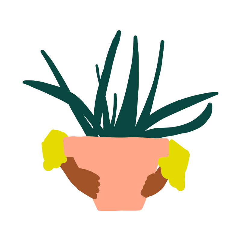 plant2.gif