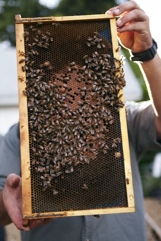 TM_E1_UrbanHomestead_198.jpg