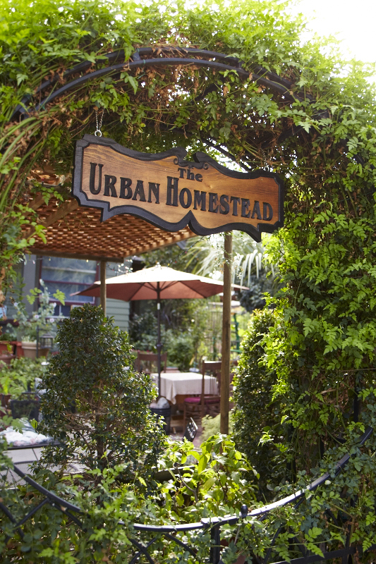 TM_E1_UrbanHomestead_019.jpg