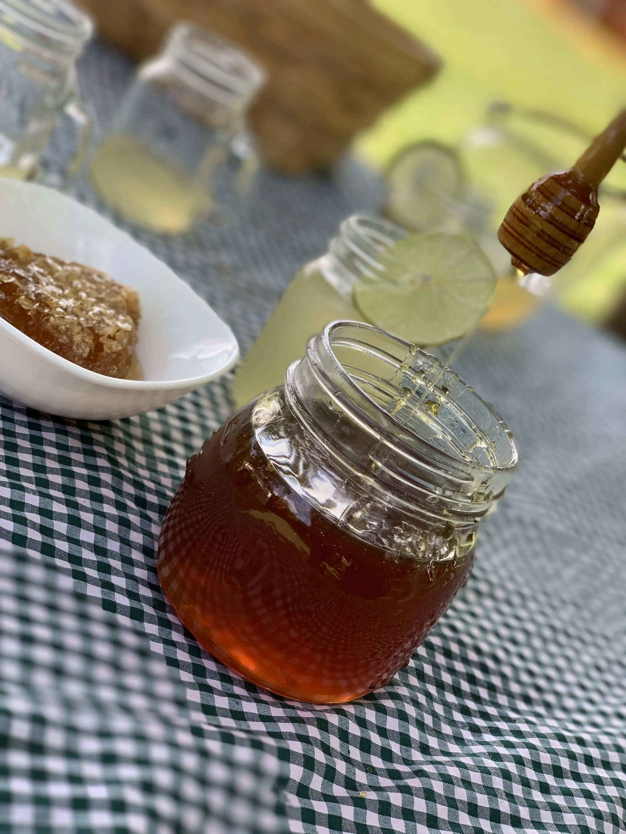 IMG_4054 (1)-min.jpg