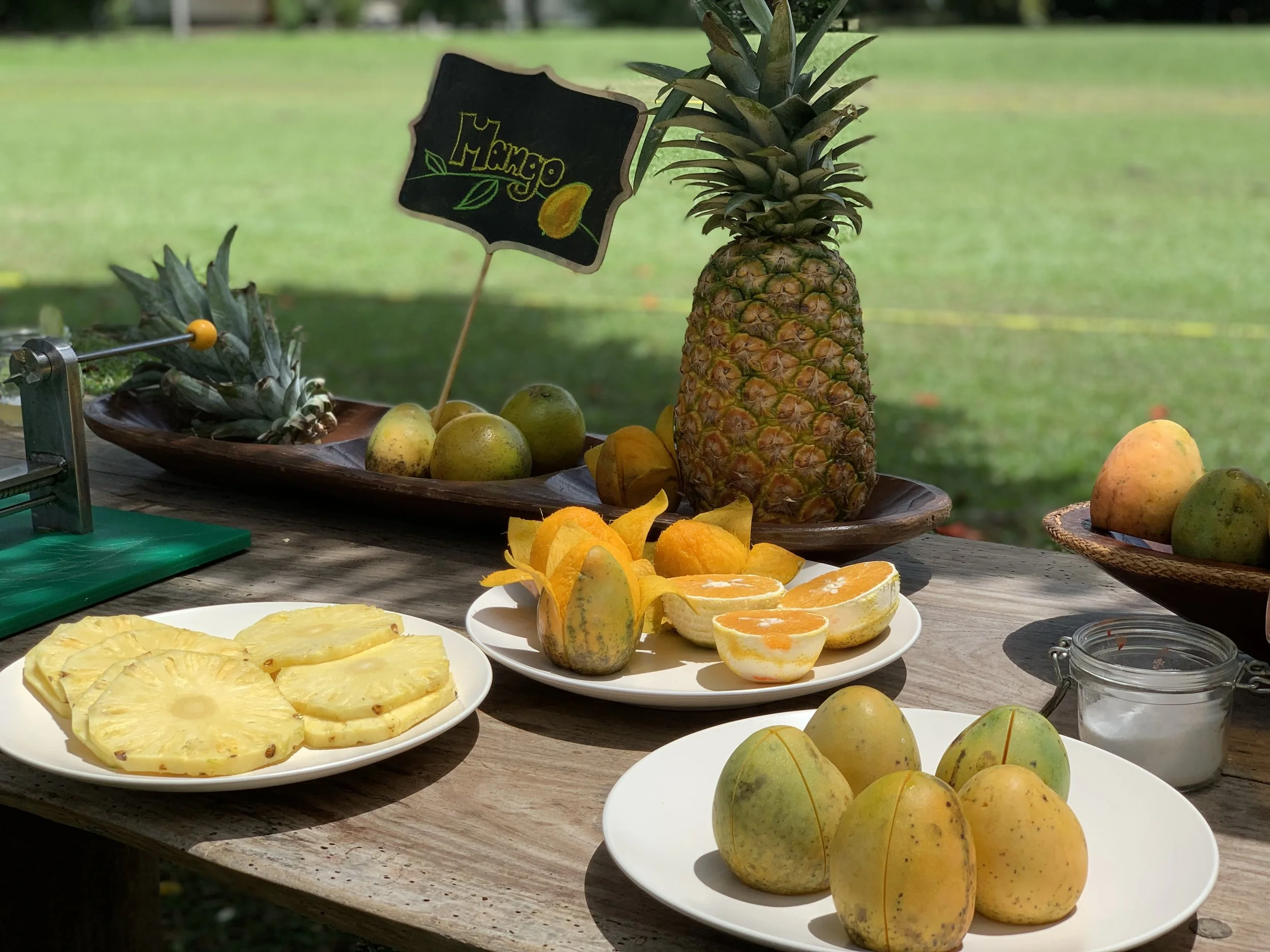 IMG_4068 (1)-min.jpg