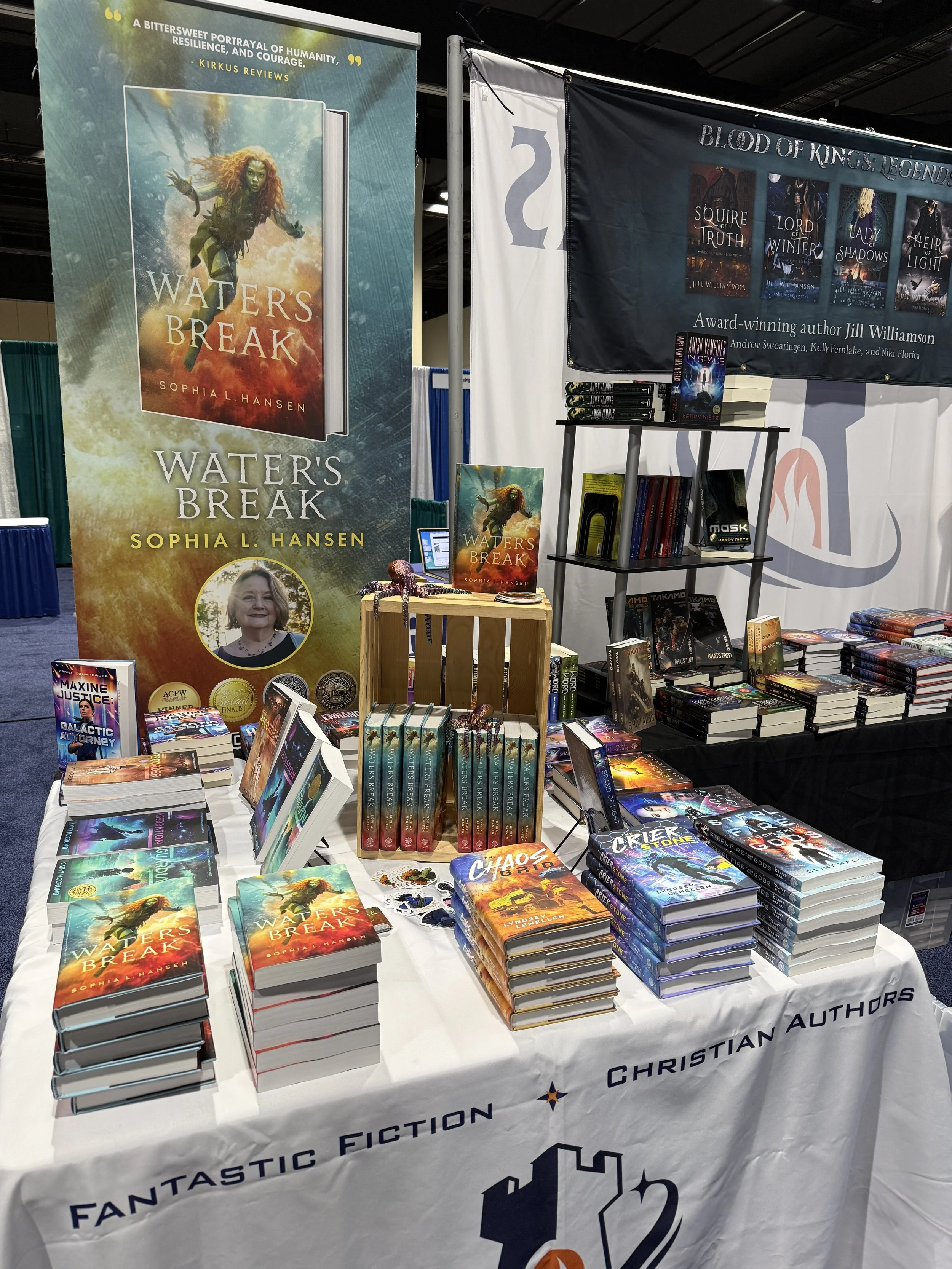WB SciFi display.JPG