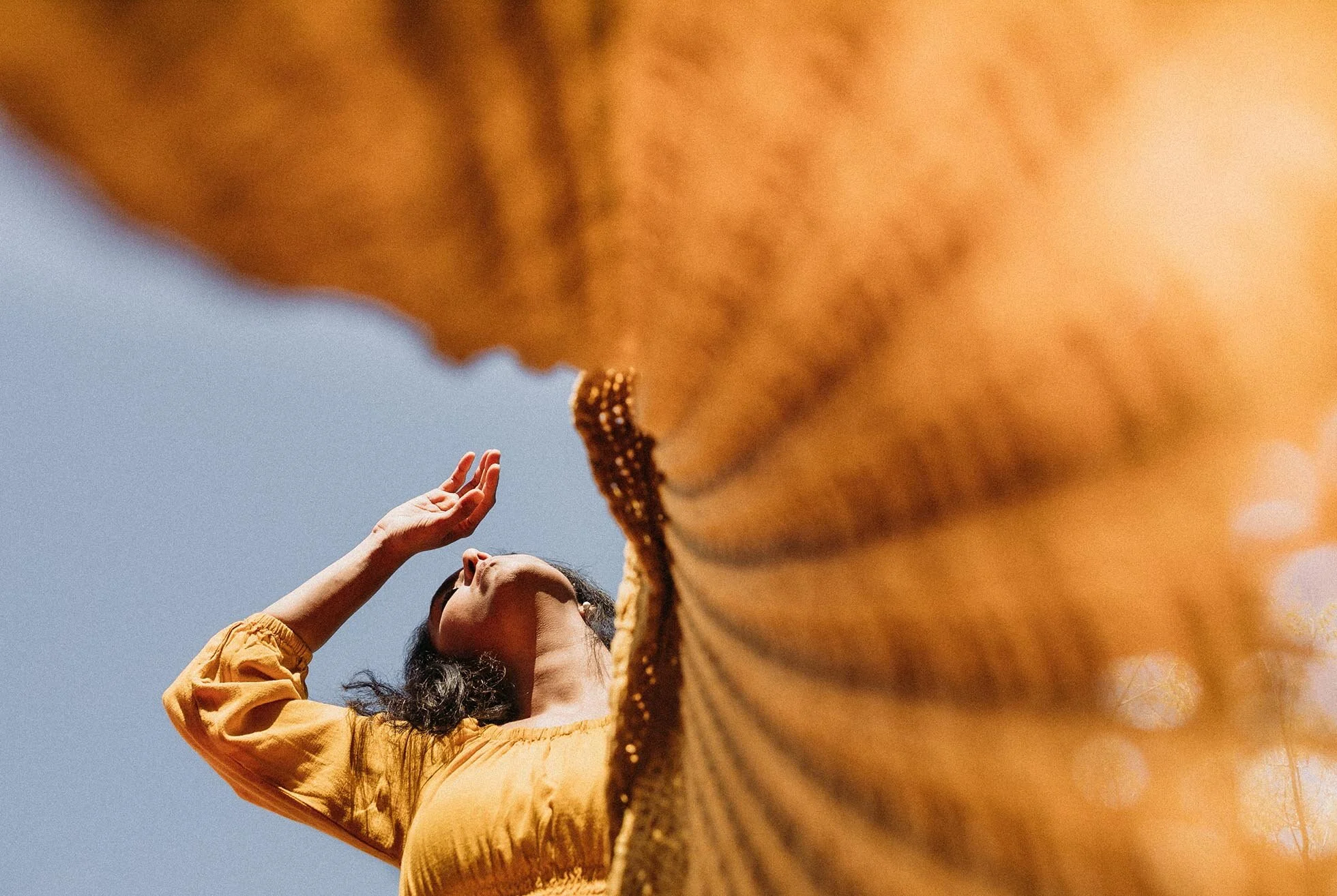 Basking in the sun.jpg