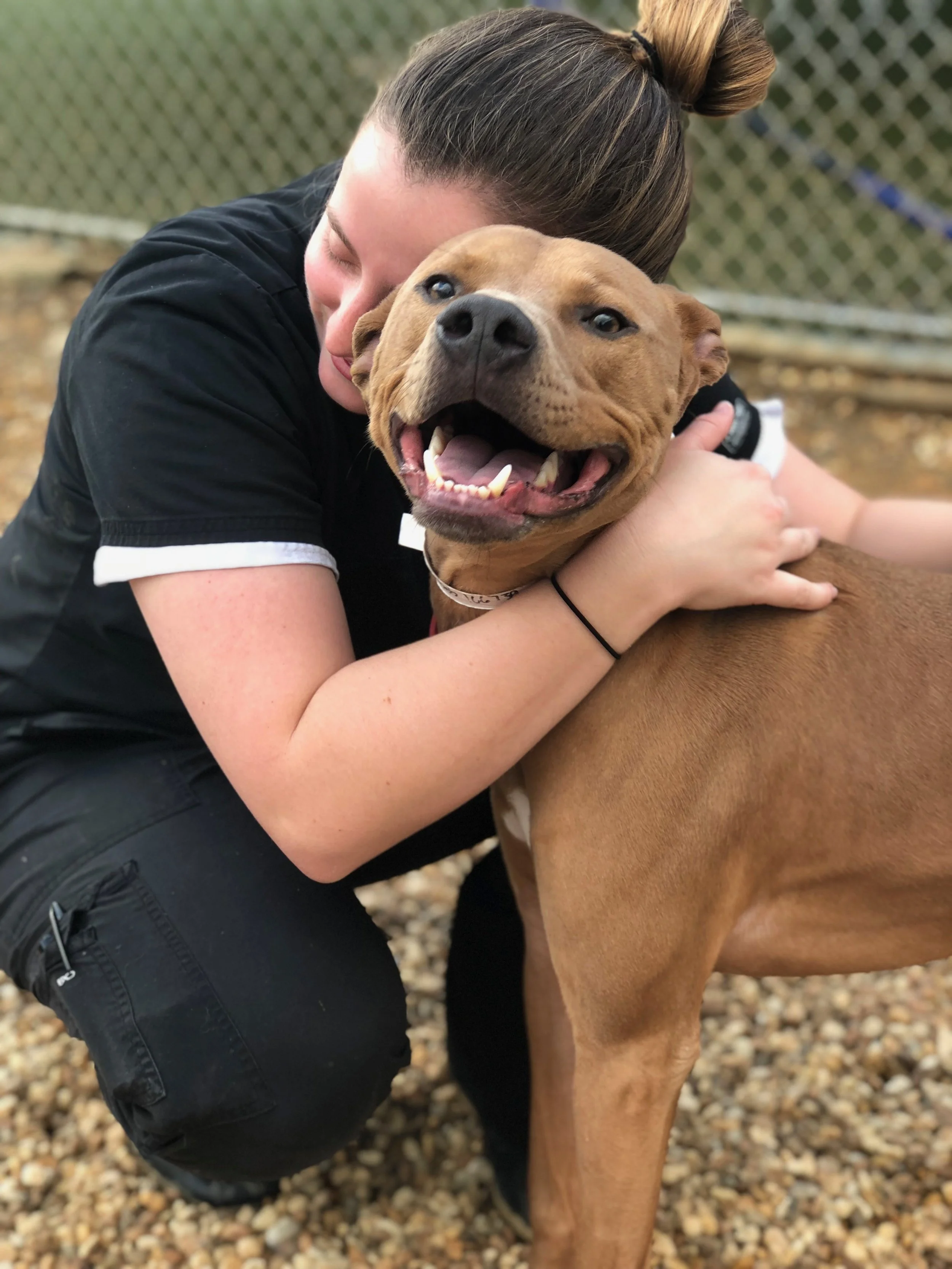 THE GREATER BIRMINGHAM HUMANE SOCIETY