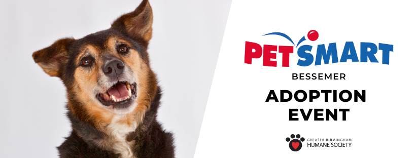 PetSmart in Bessemer Adoption Event