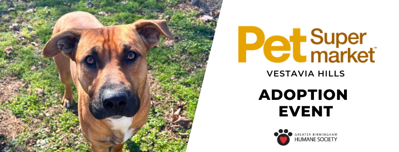 Pet Supermarket in Vestavia Hills Adoption Event
