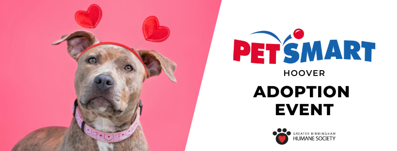 PetSmart in Hoover Adoption Event