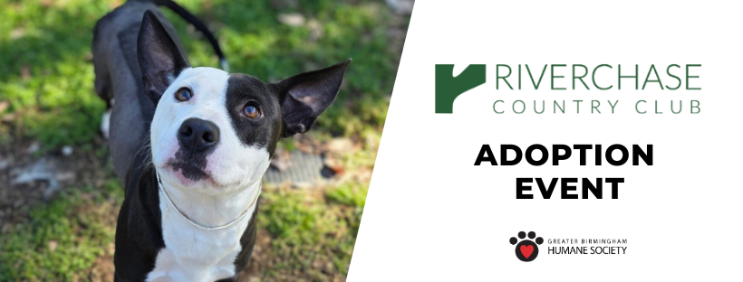 Riverchase Country Club Adoption Event