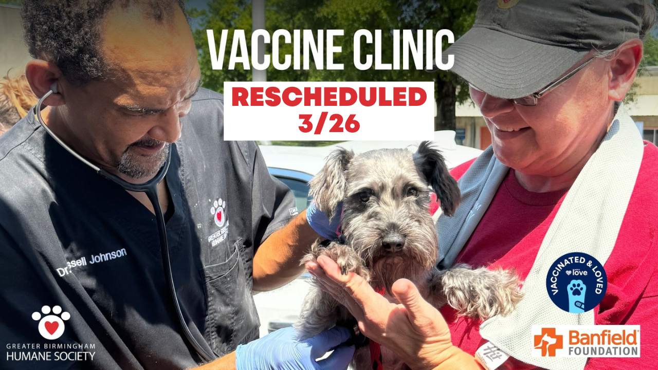 GBHS Vaccine Clinic - Rescheduled
