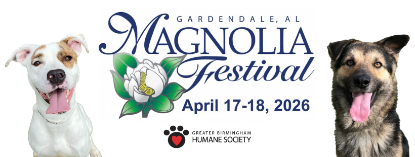 GBHS at Magnolia Festival 