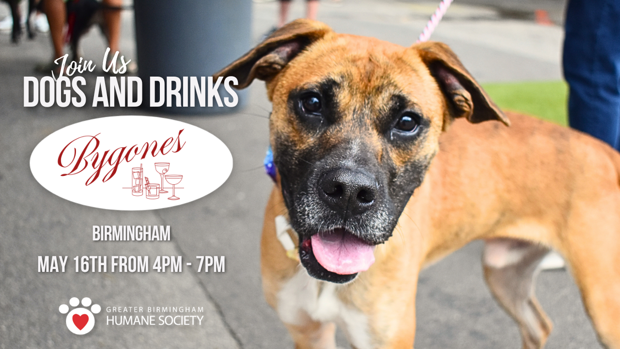 Visit GBHS at Bygone's Bar