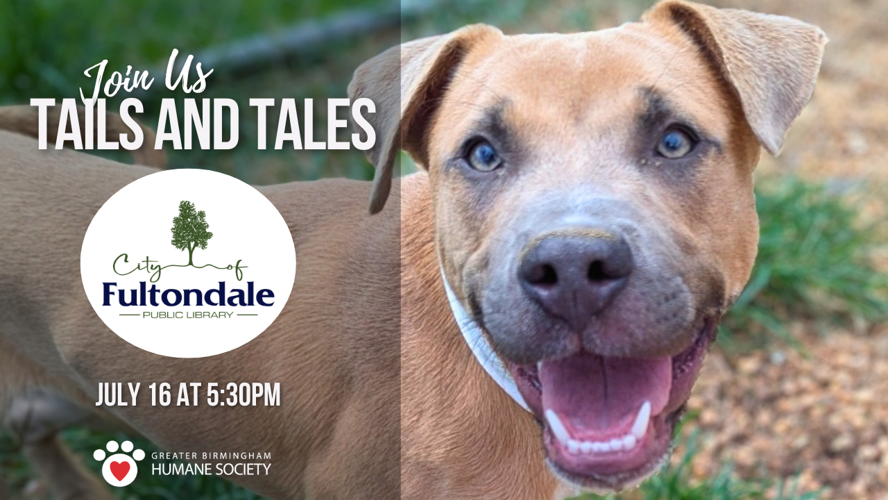 Tails and Tales at the Library