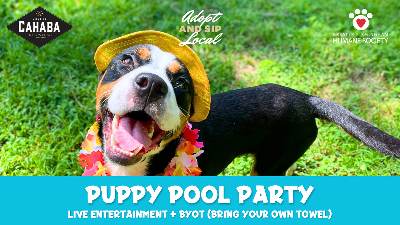 Puppy Pool Party at Cahaba Brewing