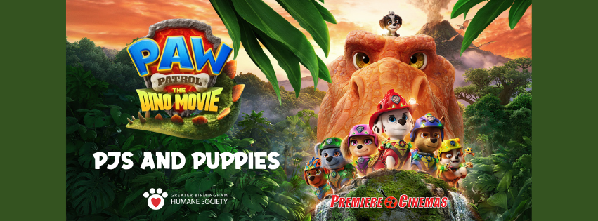 Paw Patrol Premiere: PJs and Puppies