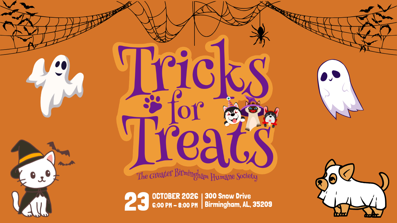 Tricks for Treats