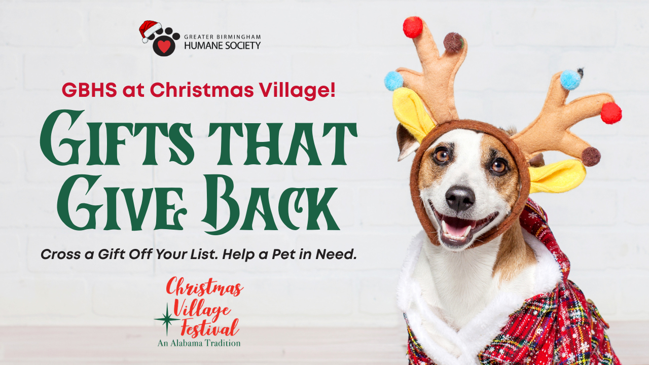 Visit Our GBHS Booth at Christmas Village
