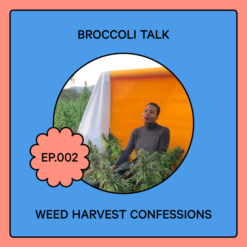 broccolitalk_ep002_post.png