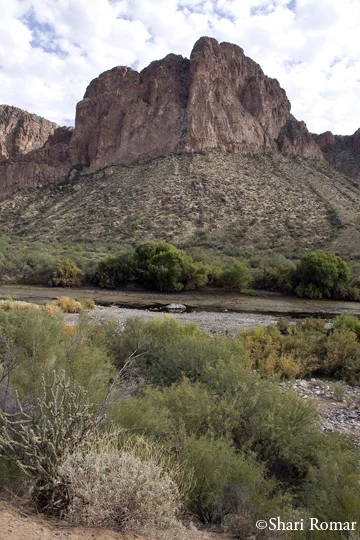 Tonto National Forest, Utah