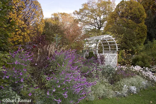 Queens Botanical Garden, New York