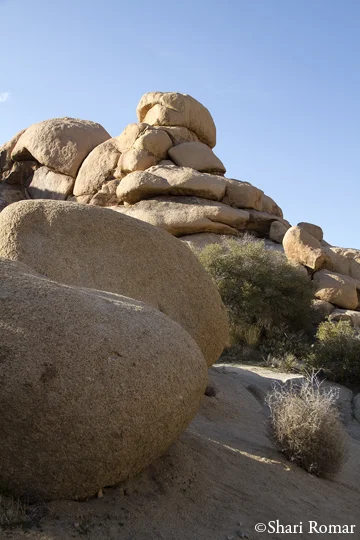 Joshua Tree, California