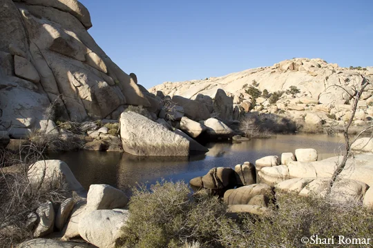 Joshua Tree, California