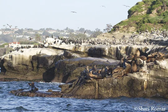La Jolla, California