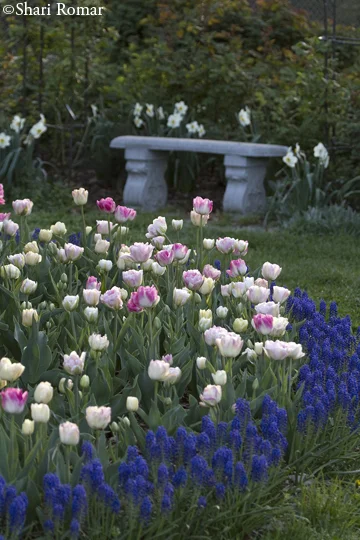 Queens Botanical Garden, New York