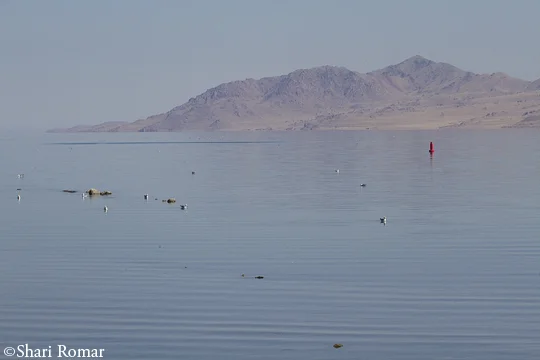 Great Salt Lake, Utah