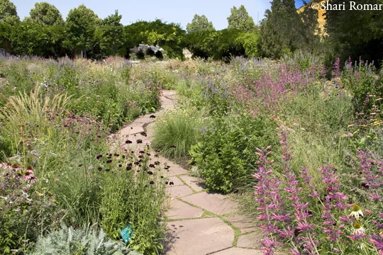 Red Butte Garden, Utah