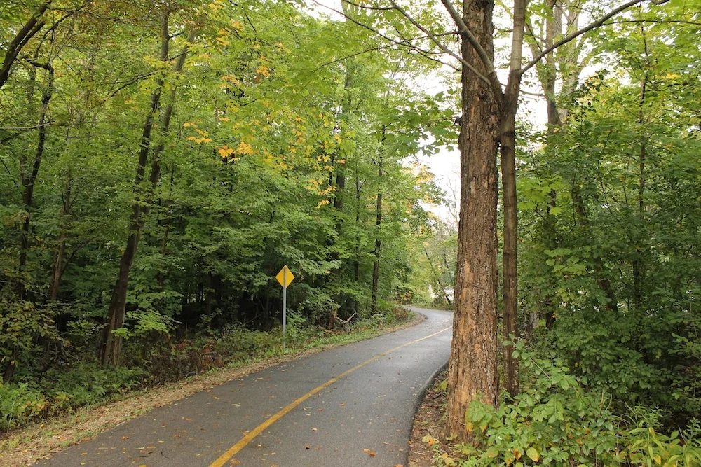 Road to Where? copy.JPG