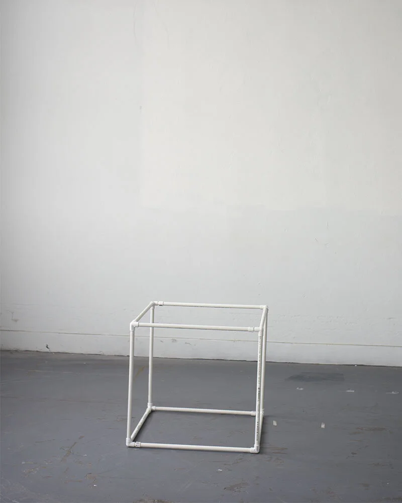 HaJung_Shin_adam2 copy.jpg