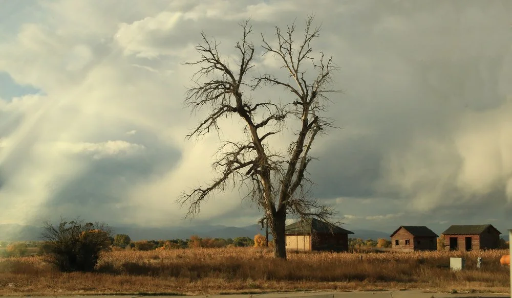 IMG_0206 copy - Copy.JPG