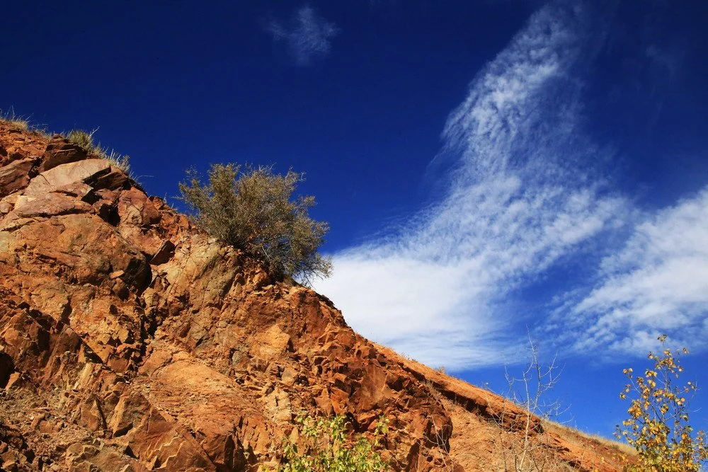 IMG_2127 - Copy - Copy.JPG